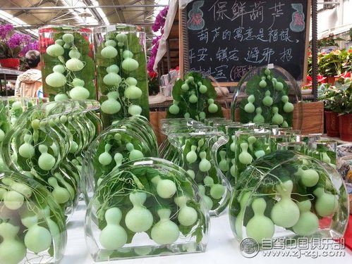 報名就送電話卡