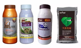 三年黃化柑橘樹變綠了,多虧了植物龍這套產品解決方案