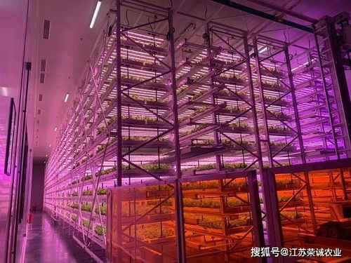 農業顛覆性技術,未來15 20年發展方向