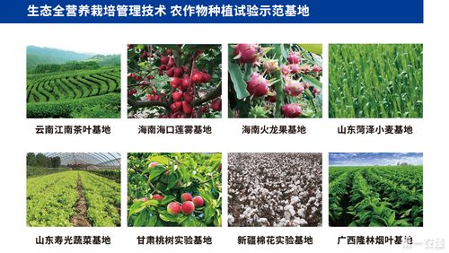 林氏生物魚肽肥助力農業種植 農戶增收 振興鄉村經濟