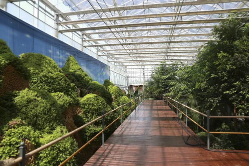 農博亮點搶先看丨五大洲植物領略世界農業風情