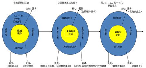 江蘇農抬頭生物農業 強有機香米 上榜第八屆中國科技創新發展論壇指定食品