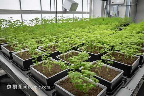 農業實驗室開發新的植物