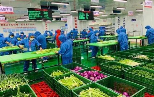 三農日報 12月2日 農業科技 處于各自為戰窘況,協同創新缺乏