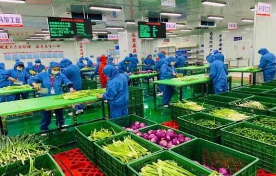 農業產業周報 大疆農業 西王集團 祖名股份 七河生物最新消息